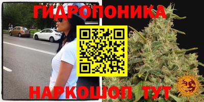 стафф Бузулук